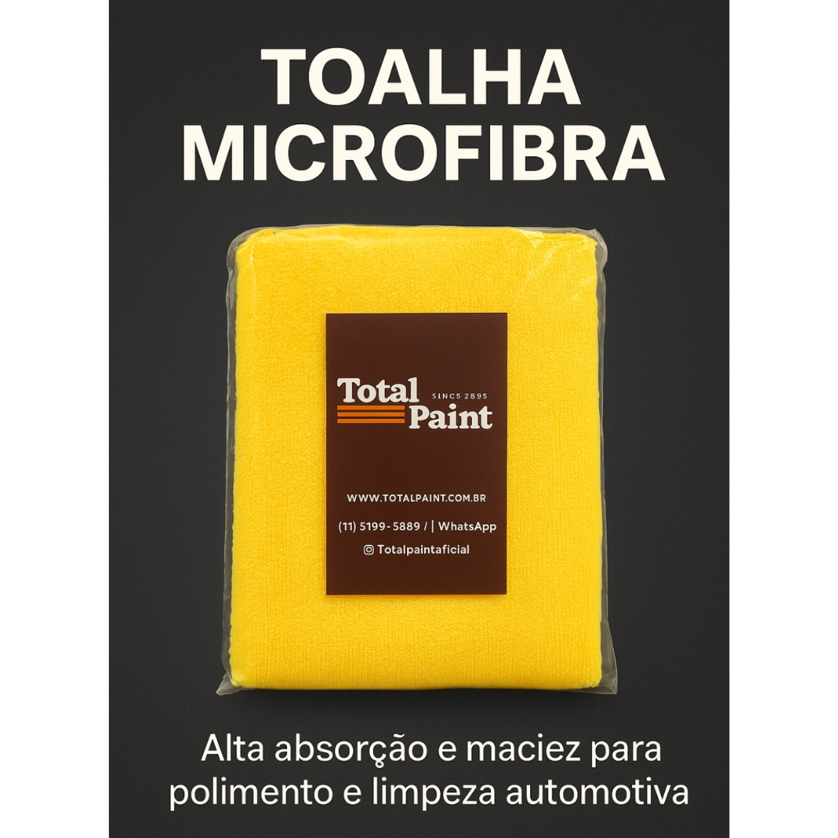 Kit 2 Panos de Microfibra Total Paint - Multiuso e Prático
